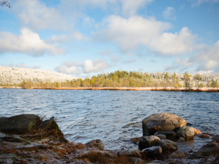 Kuva järvestä, etualalla kivikkoista rantaa ja taustalla metsää, jota peittää osin lumikerros.
